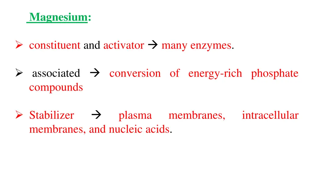 magnesium