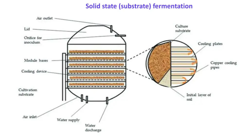 solid state substrate fermentation