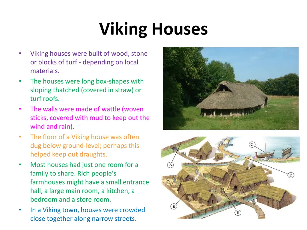 viking houses