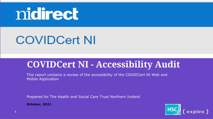 covidcert ni accessibility audit