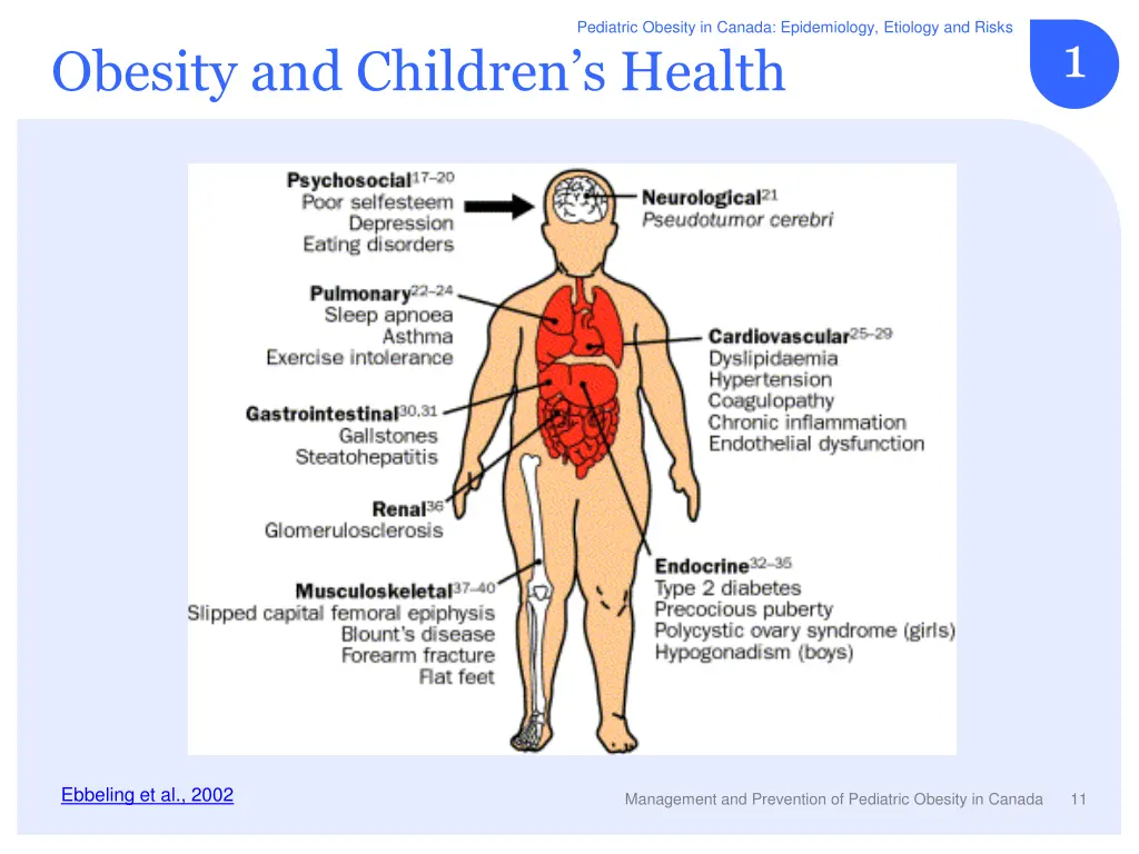 pediatric obesity in canada epidemiology etiology 2