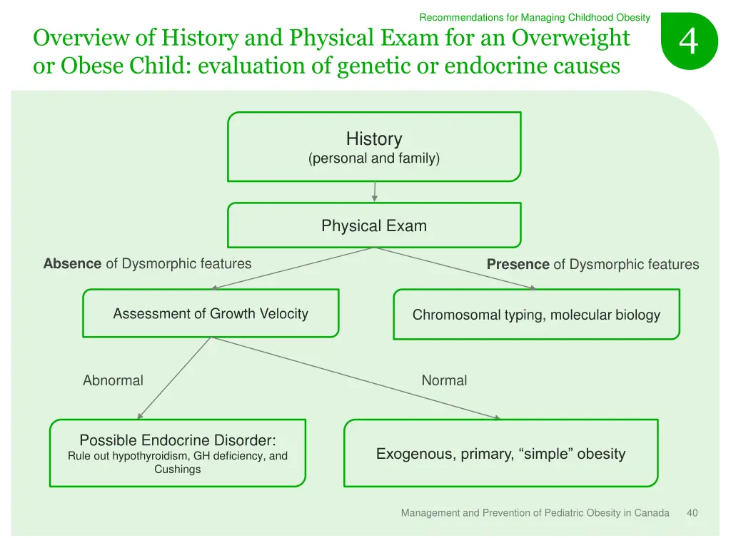 recommendations for managing childhood obesity 19