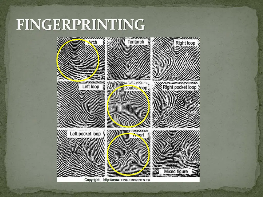 fingerprinting