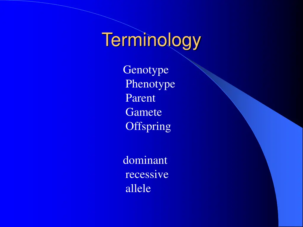 terminology