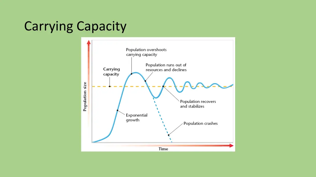 carrying capacity 1