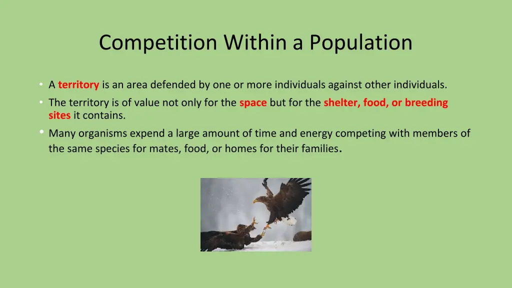 competition within a population 1