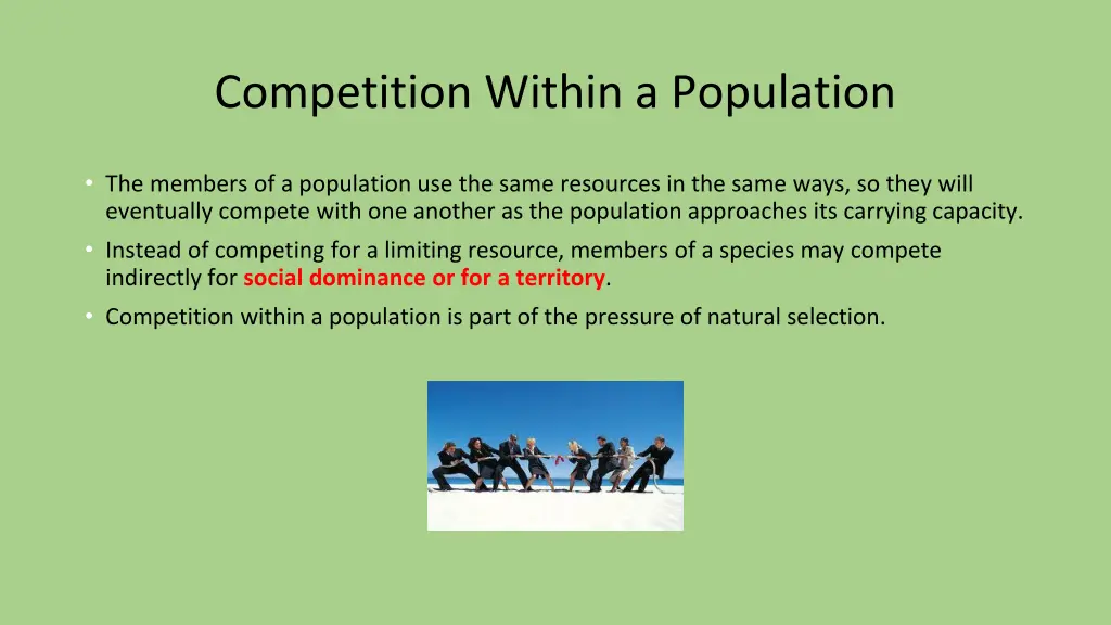 competition within a population