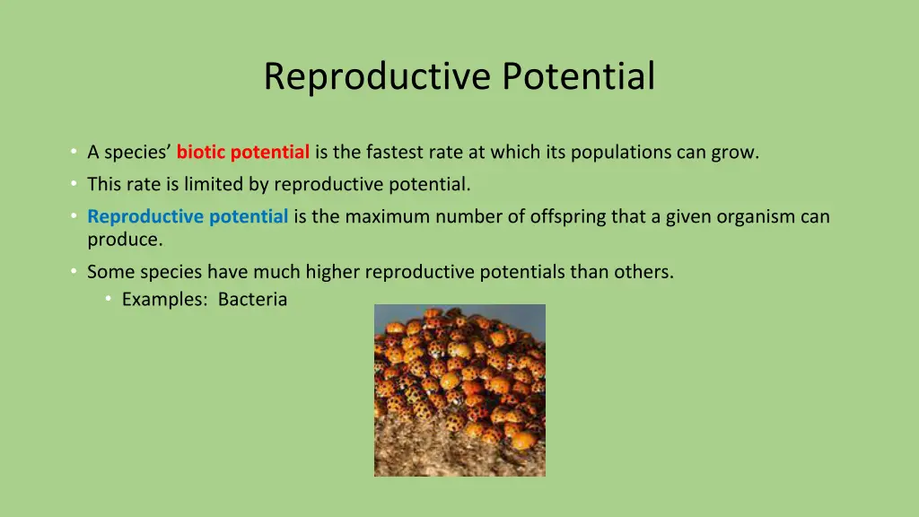 reproductive potential