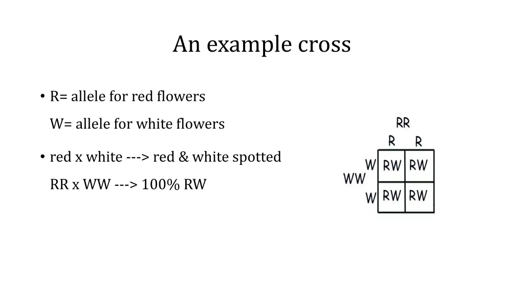 an example cross