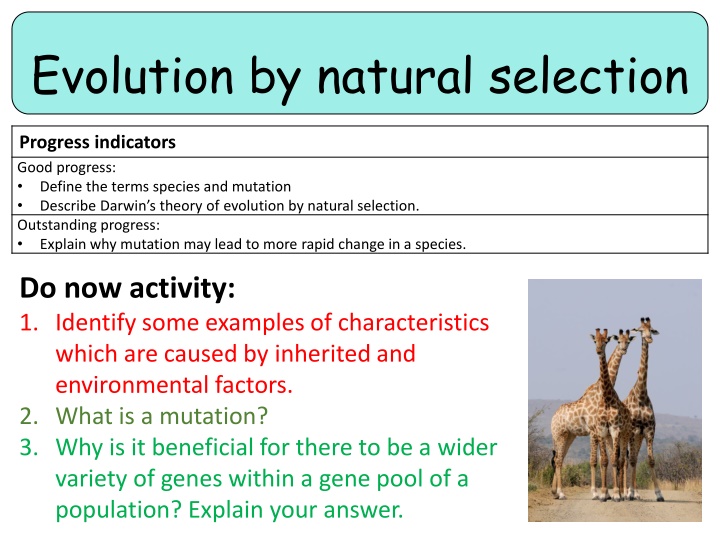 evolution by natural selection