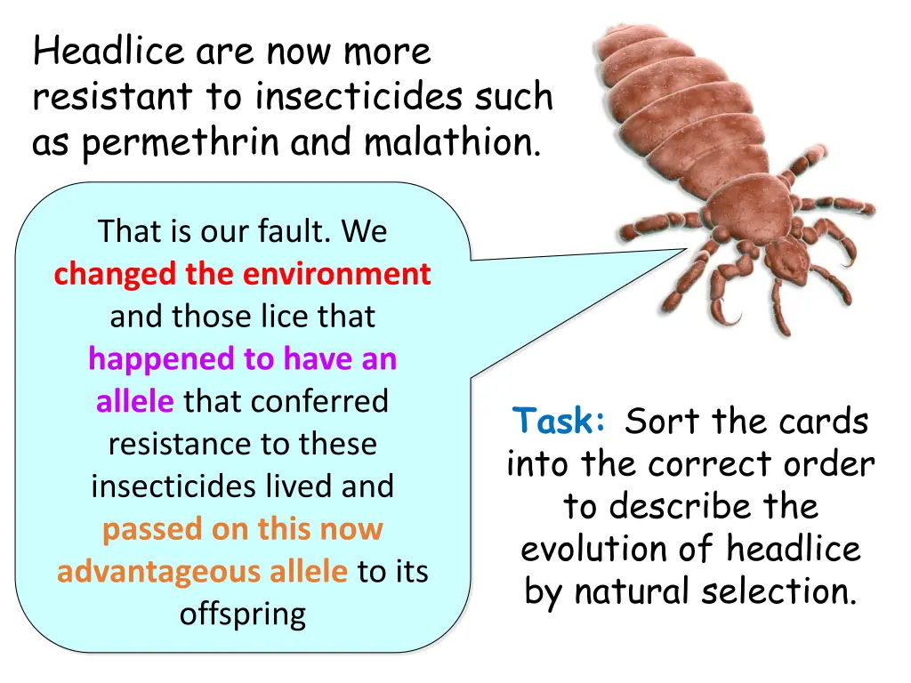 headlice are now more resistant to insecticides