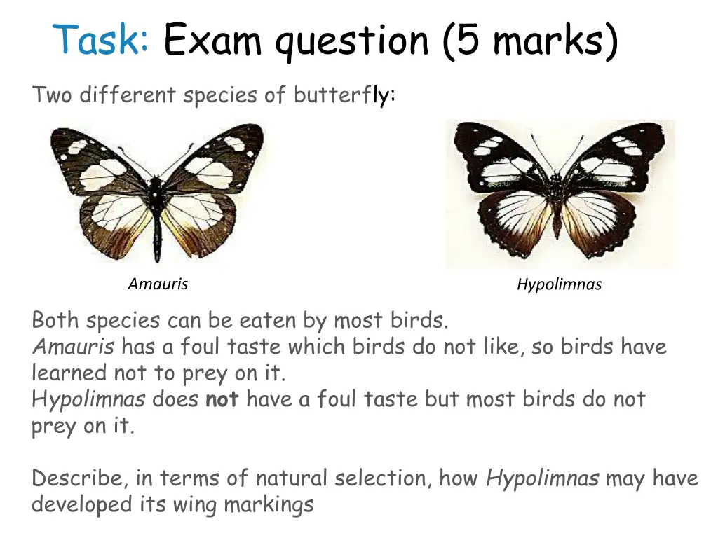 task exam question 5 marks