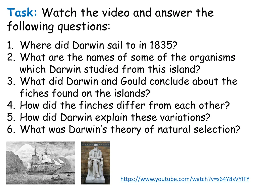 task watch the video and answer the following