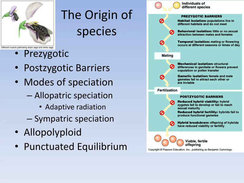 the origin of species