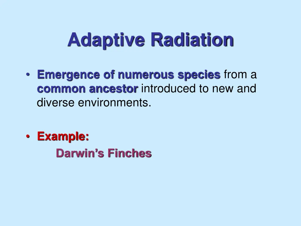 adaptive radiation