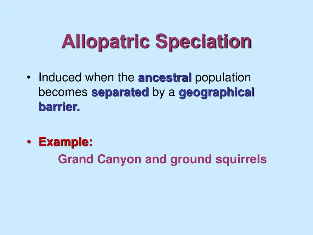 allopatric speciation