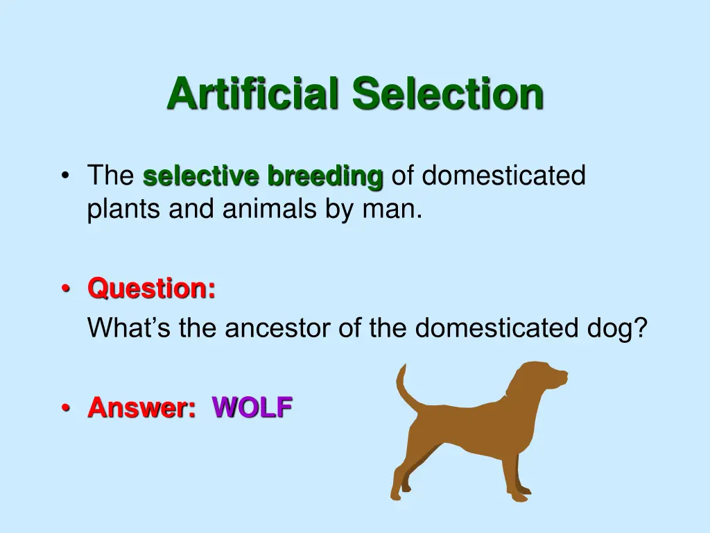 artificial selection