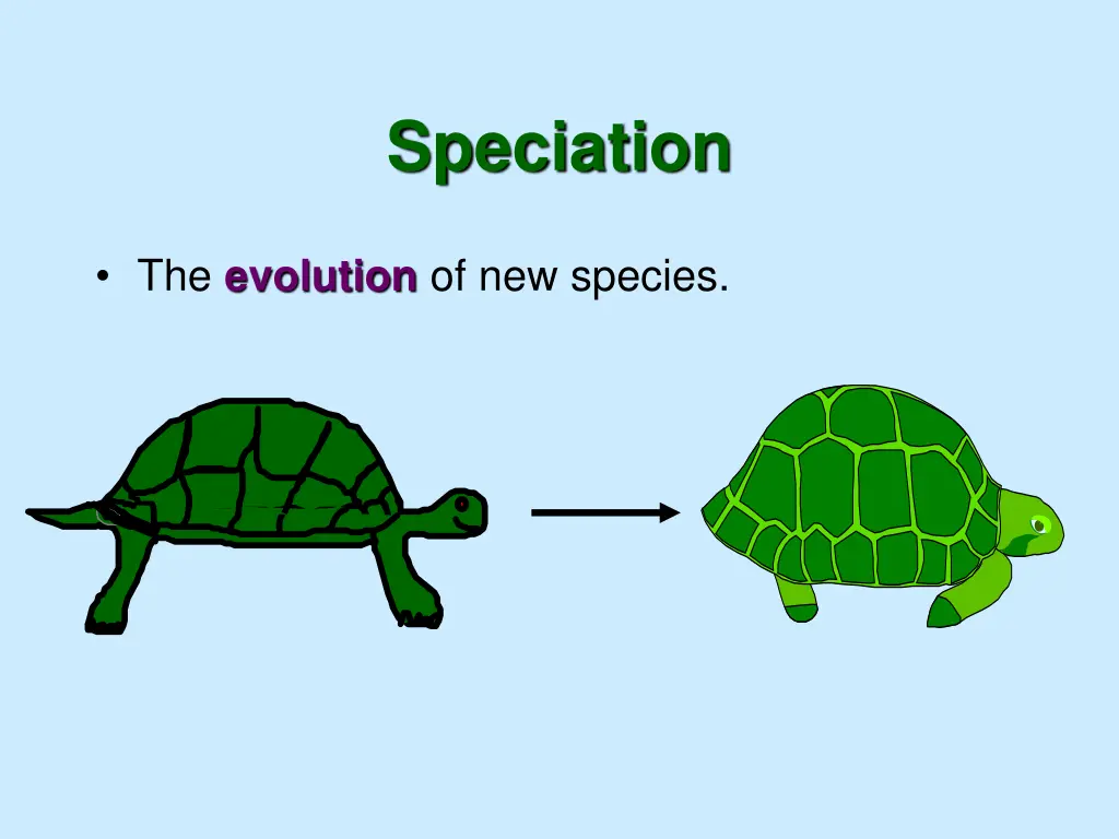 speciation