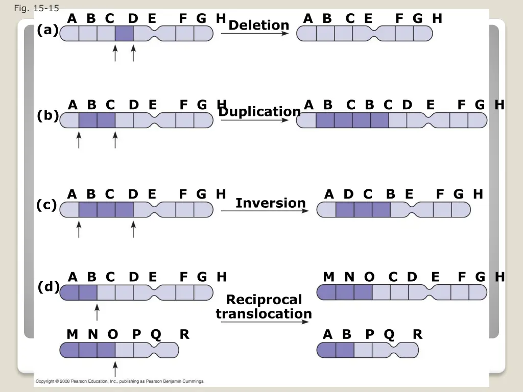 fig 15 15