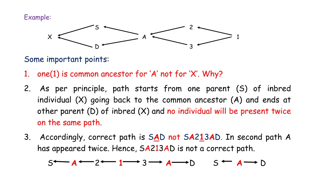 example some important points 1 one 1 is common