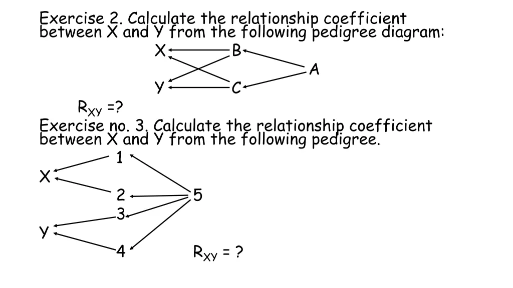 exercise 2 calculate the relationship coefficient 1