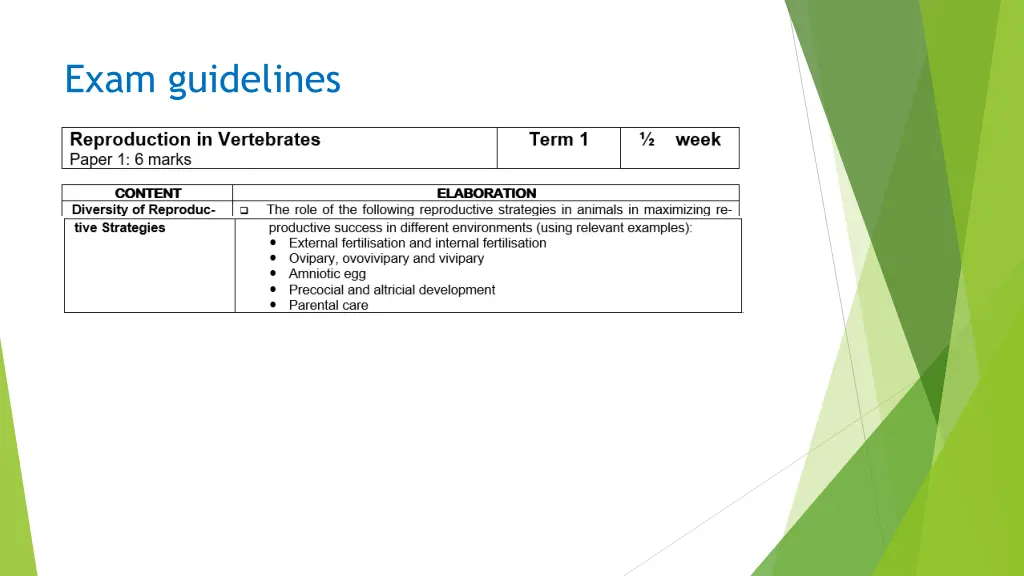 exam guidelines