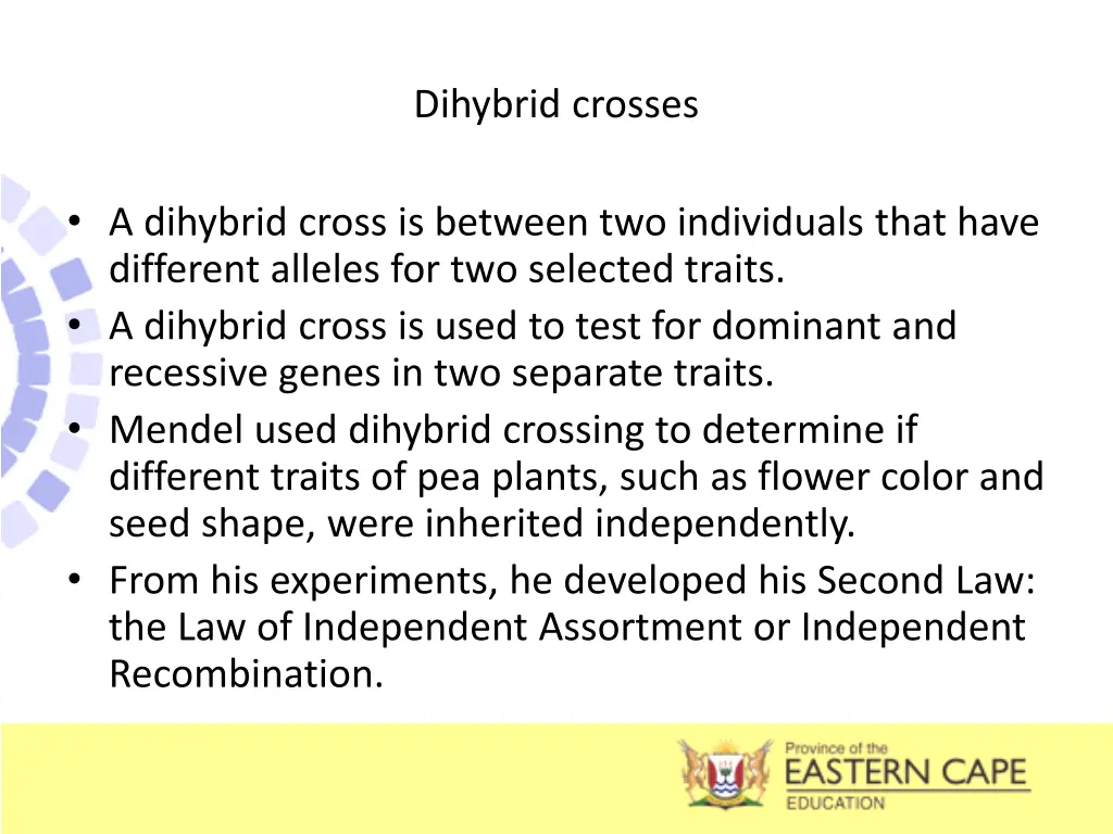 dihybrid crosses