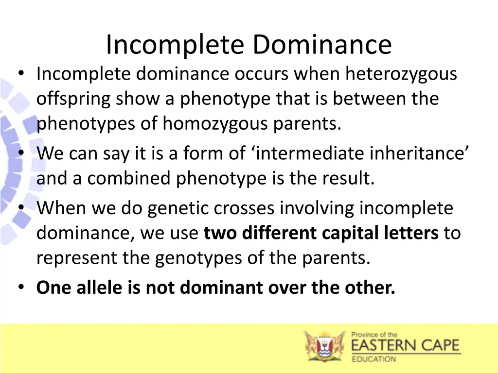 incomplete dominance incomplete dominance occurs