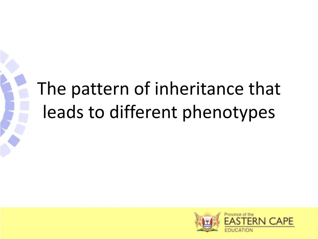 the pattern of inheritance that leads