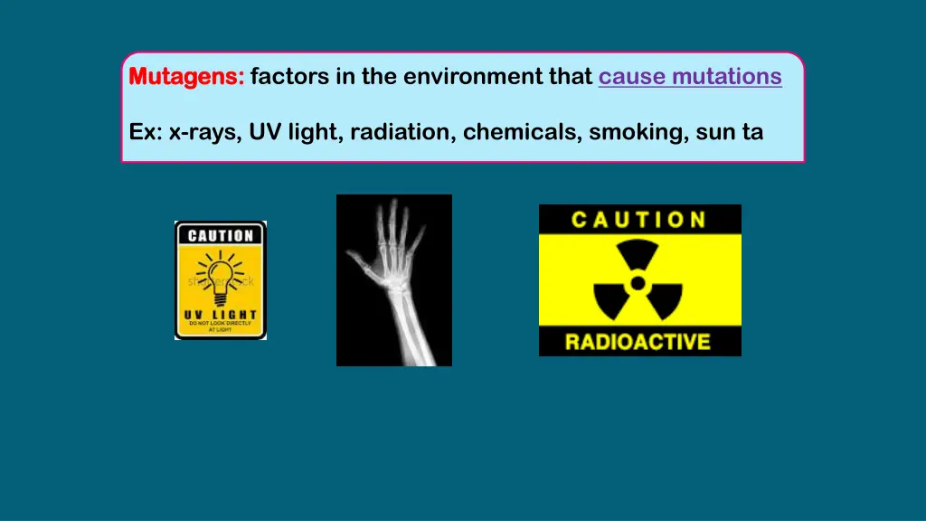 mutagens mutagens factors in the environment that