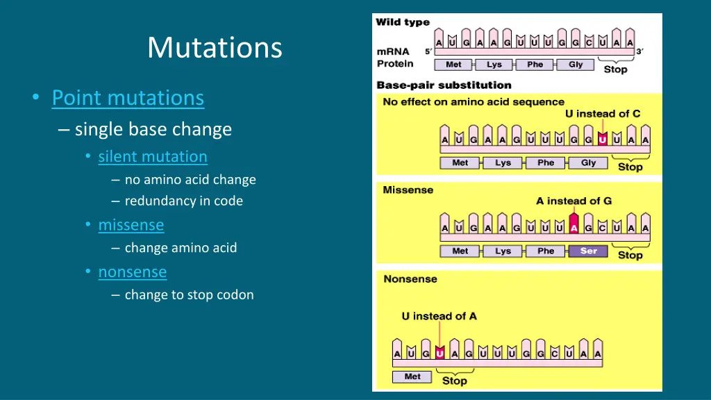 mutations 2