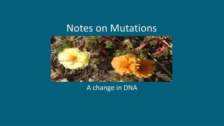 notes on mutations