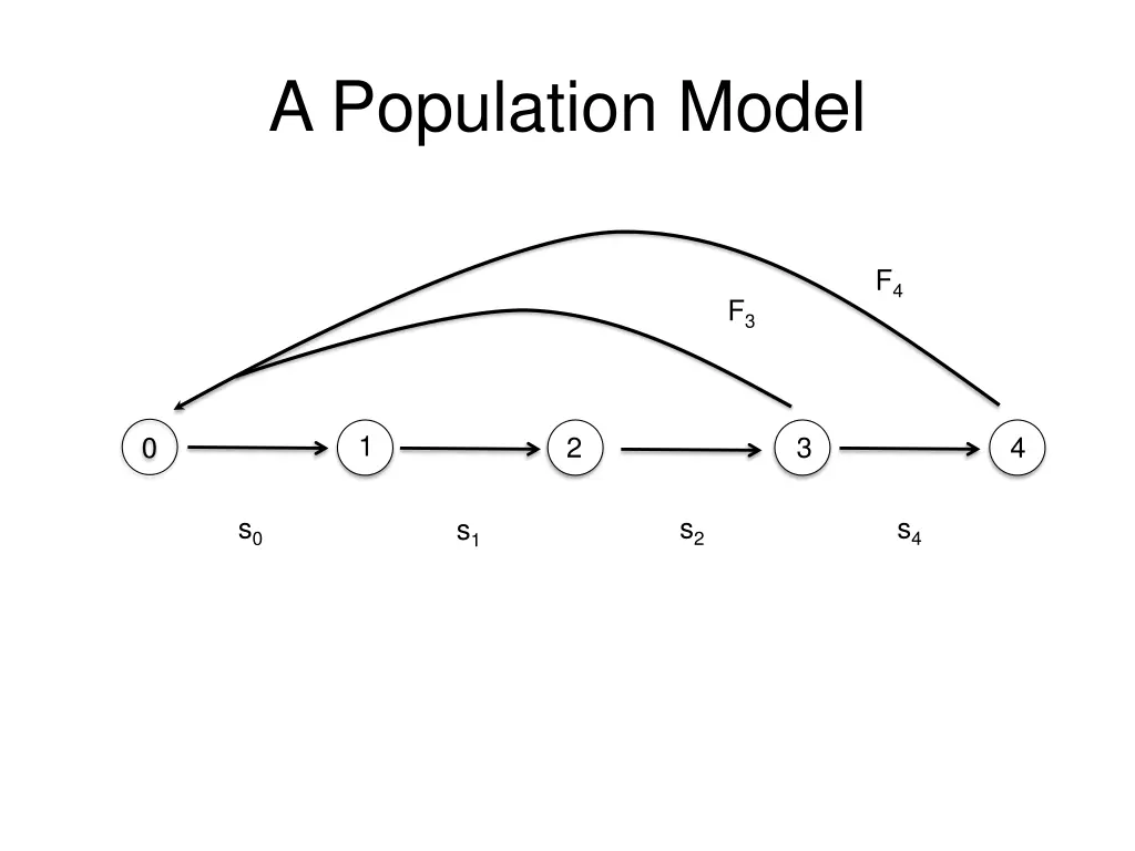 a population model