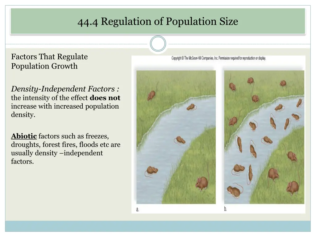 44 4 regulation of population size