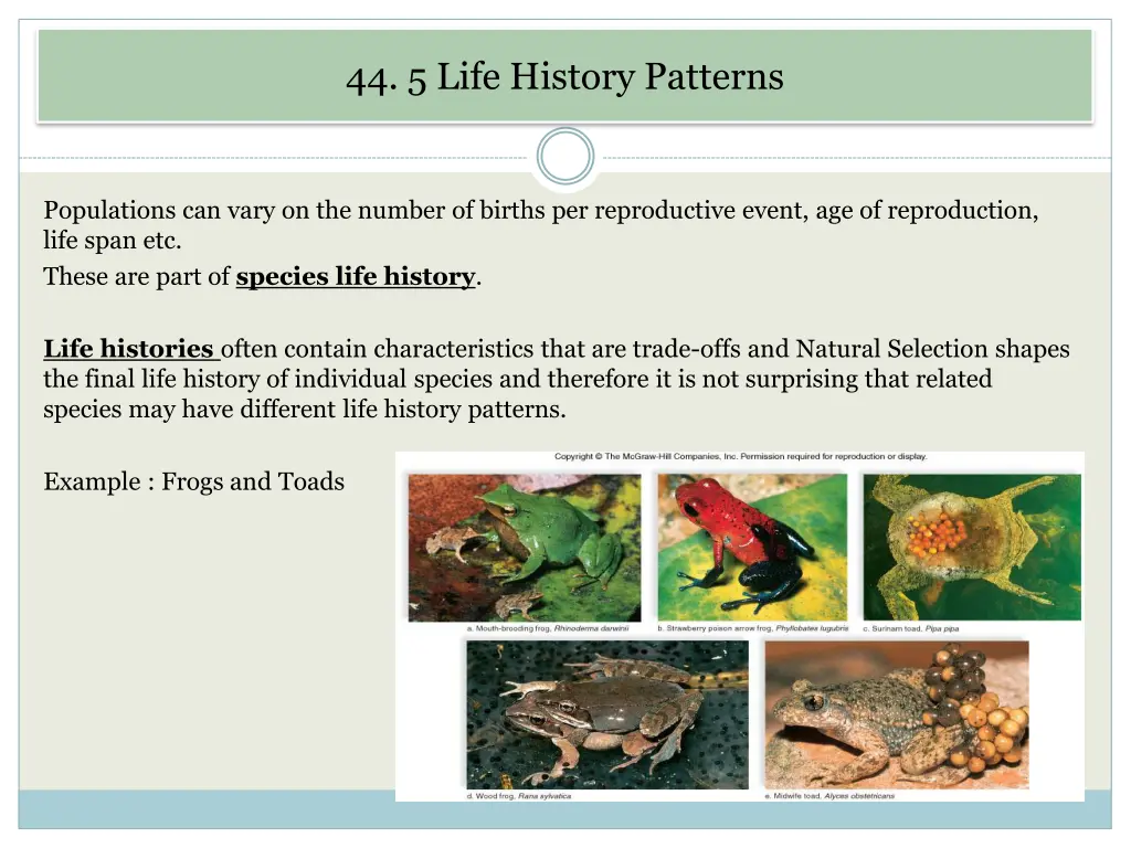 44 5 life history patterns