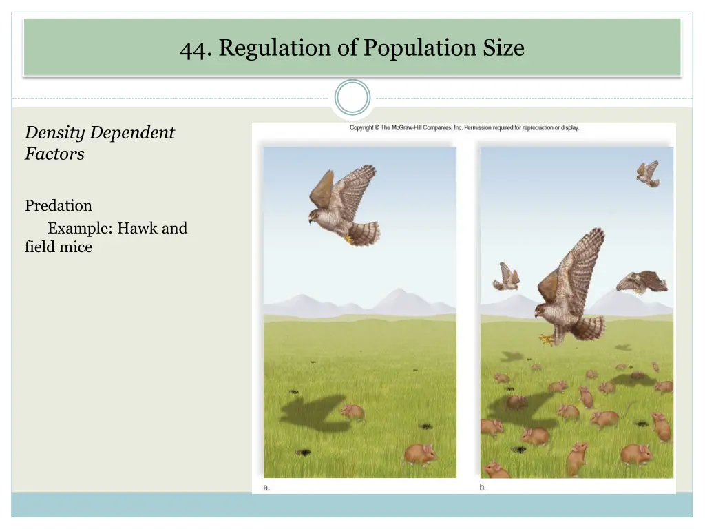 44 regulation of population size 1