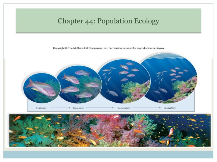 chapter 44 population ecology