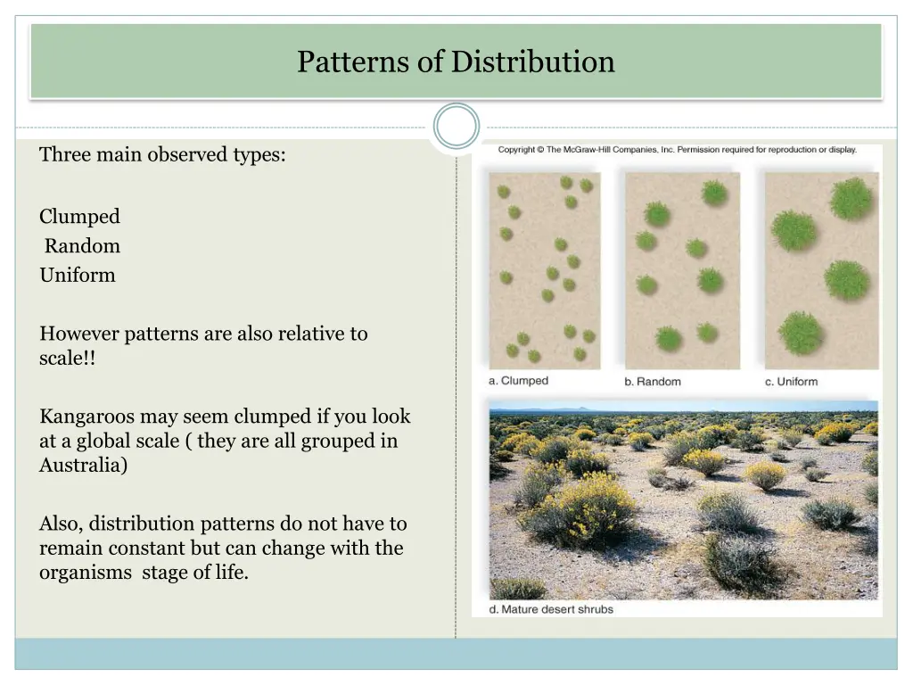 patterns of distribution