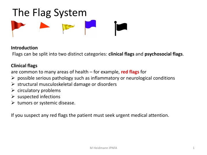 the flag system