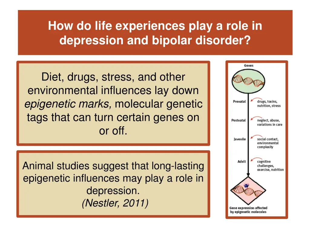 how do life experiences play a role in depression