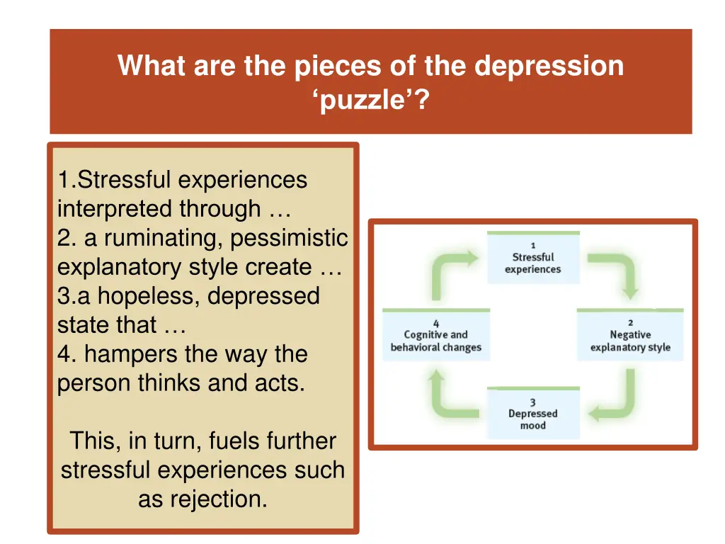 what are the pieces of the depression puzzle