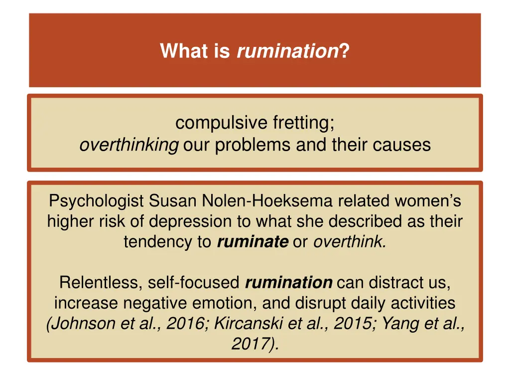 what is rumination