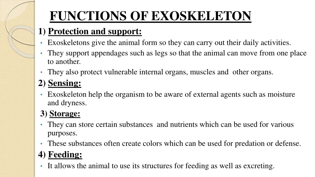 functions of exoskeleton 1 protection and support