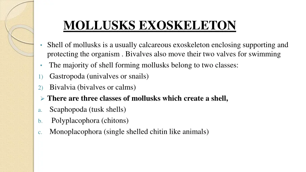 mollusks exoskeleton