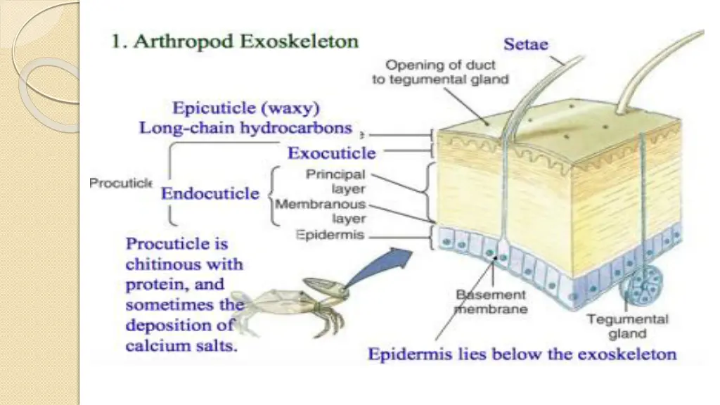 slide12