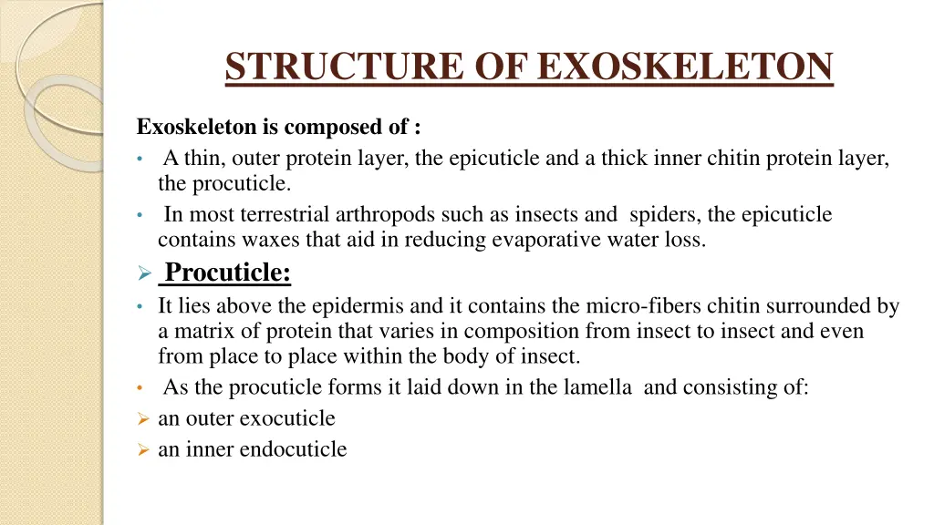 structure of exoskeleton