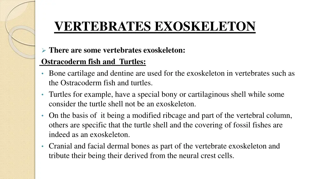 vertebrates exoskeleton