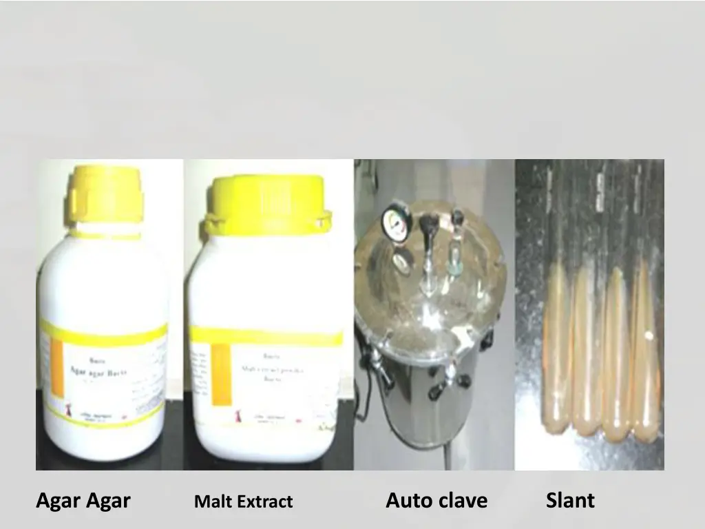 agar agar malt extract auto clave slant