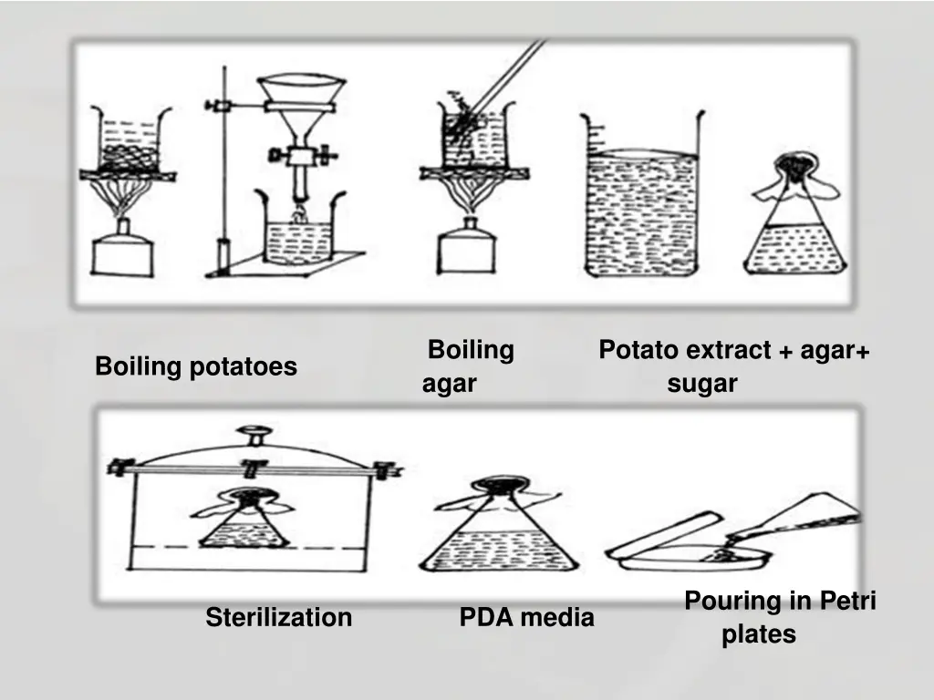 boiling agar