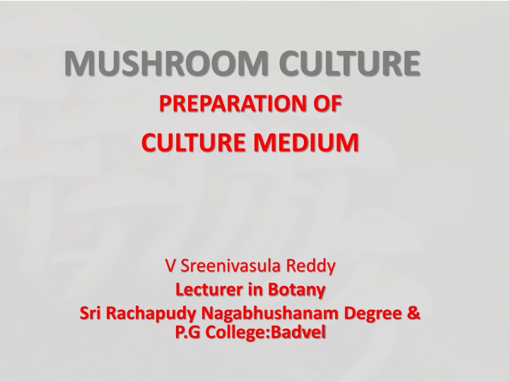 mushroom culture preparation of culture medium